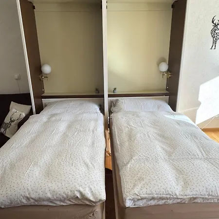 Apartment Heaven Grächen